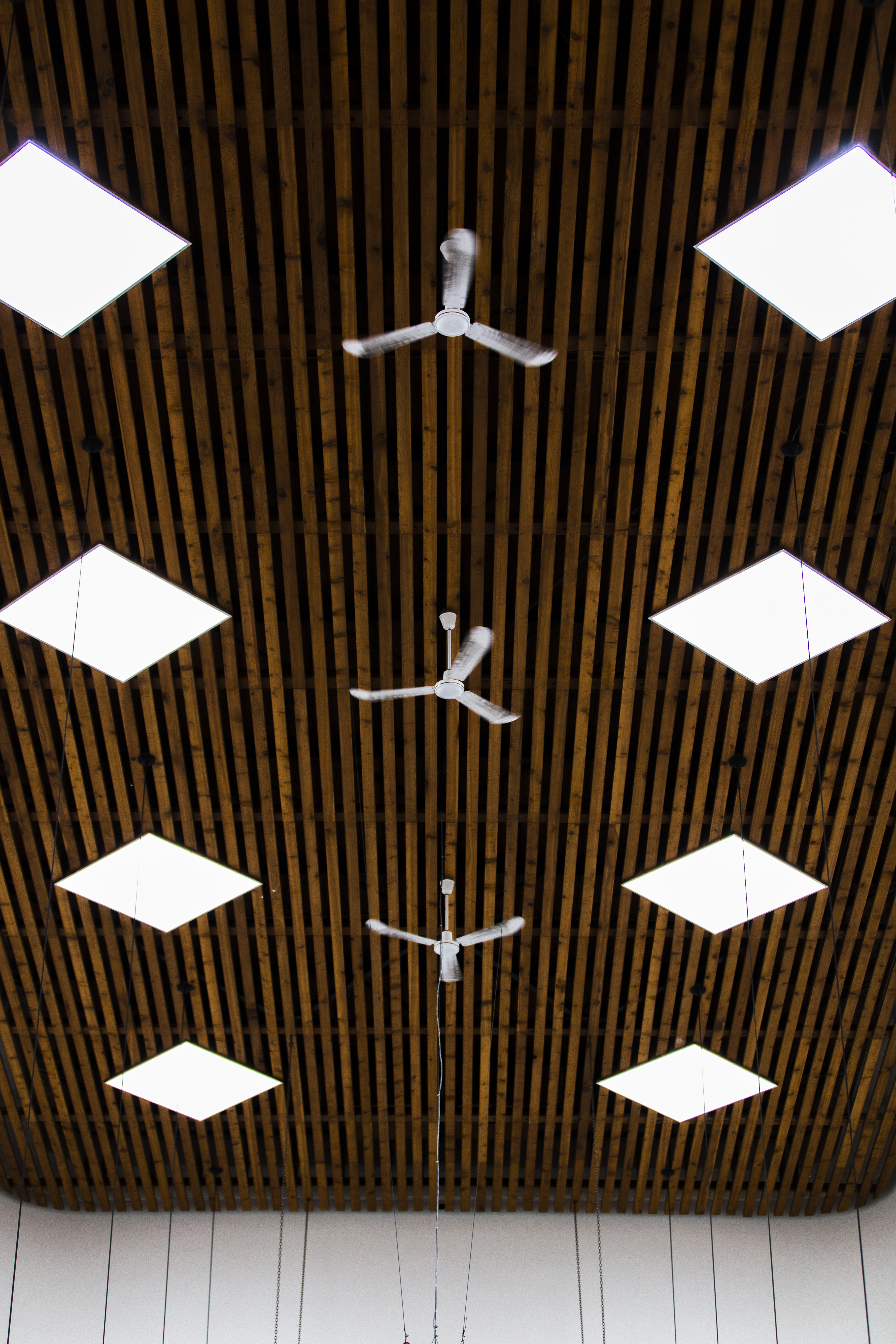Ceiling Design 6